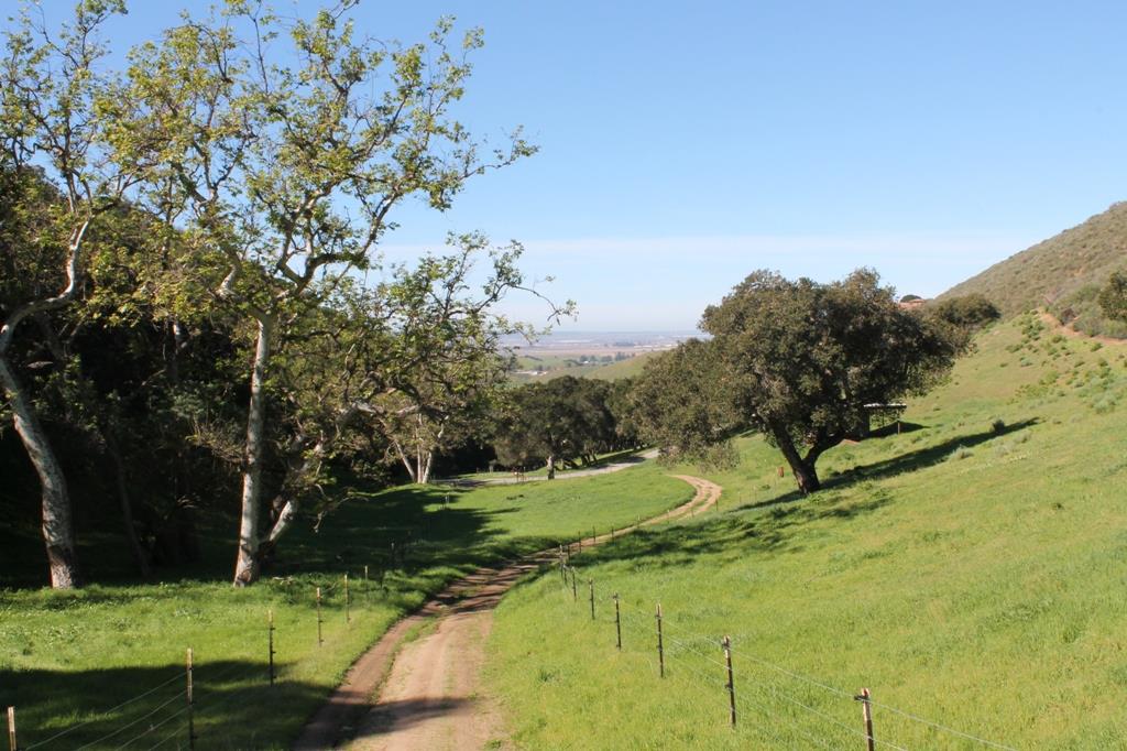 30100 Chualar Canyon Road Chualar, CA 93925 - Photo 20 of 20 a view of a yard with a tree