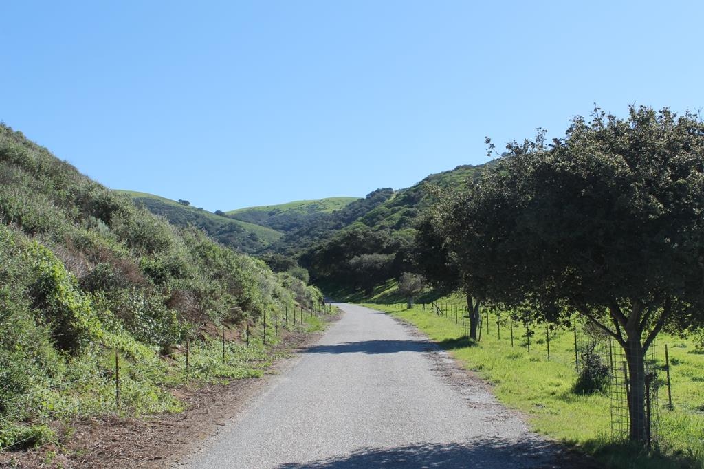 30100 Chualar Canyon Road Chualar, CA 93925 - Photo 3 of 20 a view of a yard with a tree