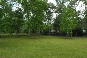 $199,999 | 30619 Hazy Meadow Drive, Magnolia, TX 77354