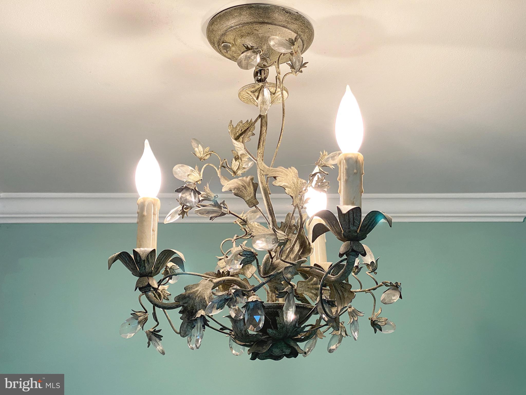 4509 Wilmslow Road Baltimore, MD 21210 - Photo 22 of 73 Beautiful chandelier
