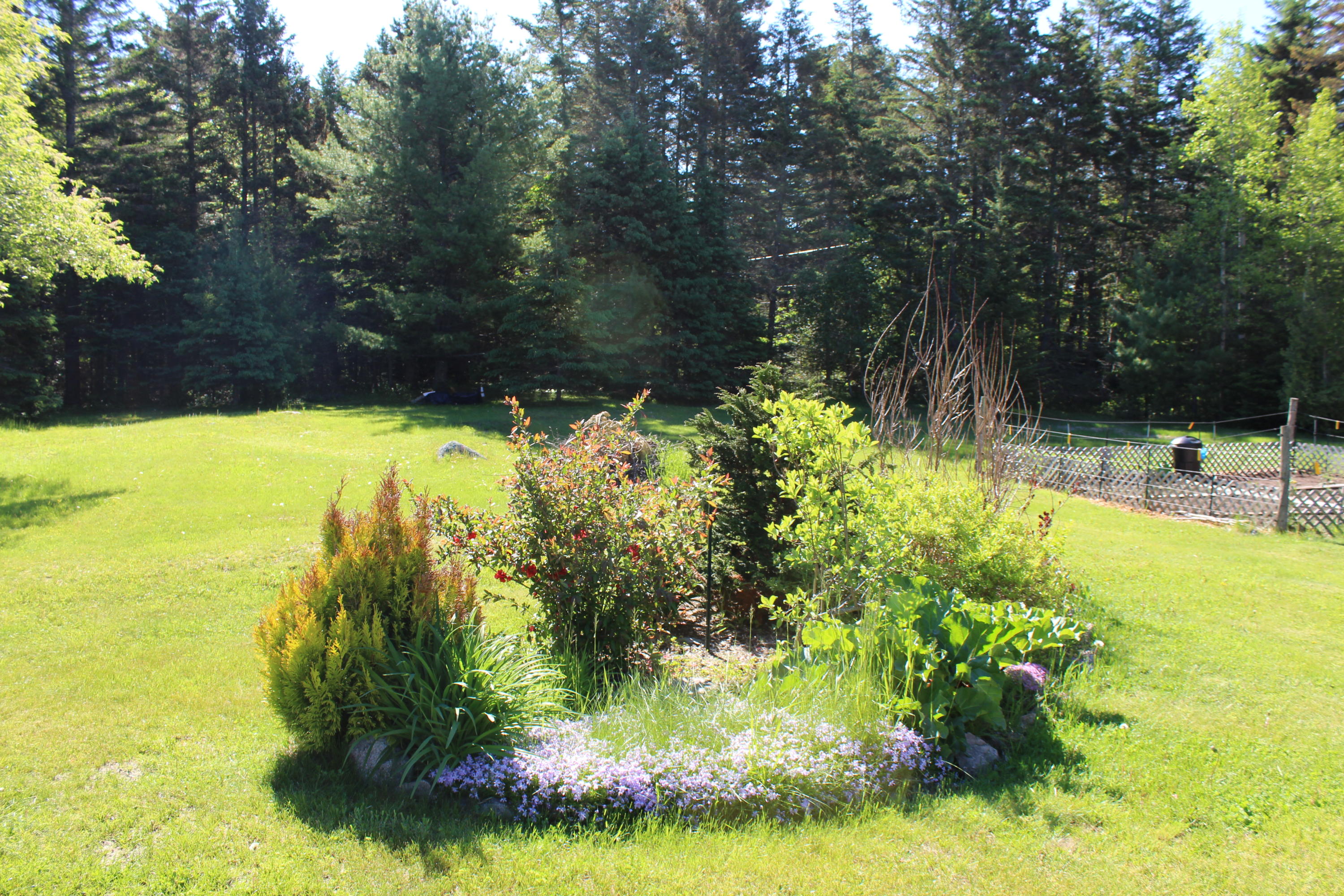 78 Dyer's Bay Road Steuben, ME 04680 - Photo 30 of 42 IMG_3745