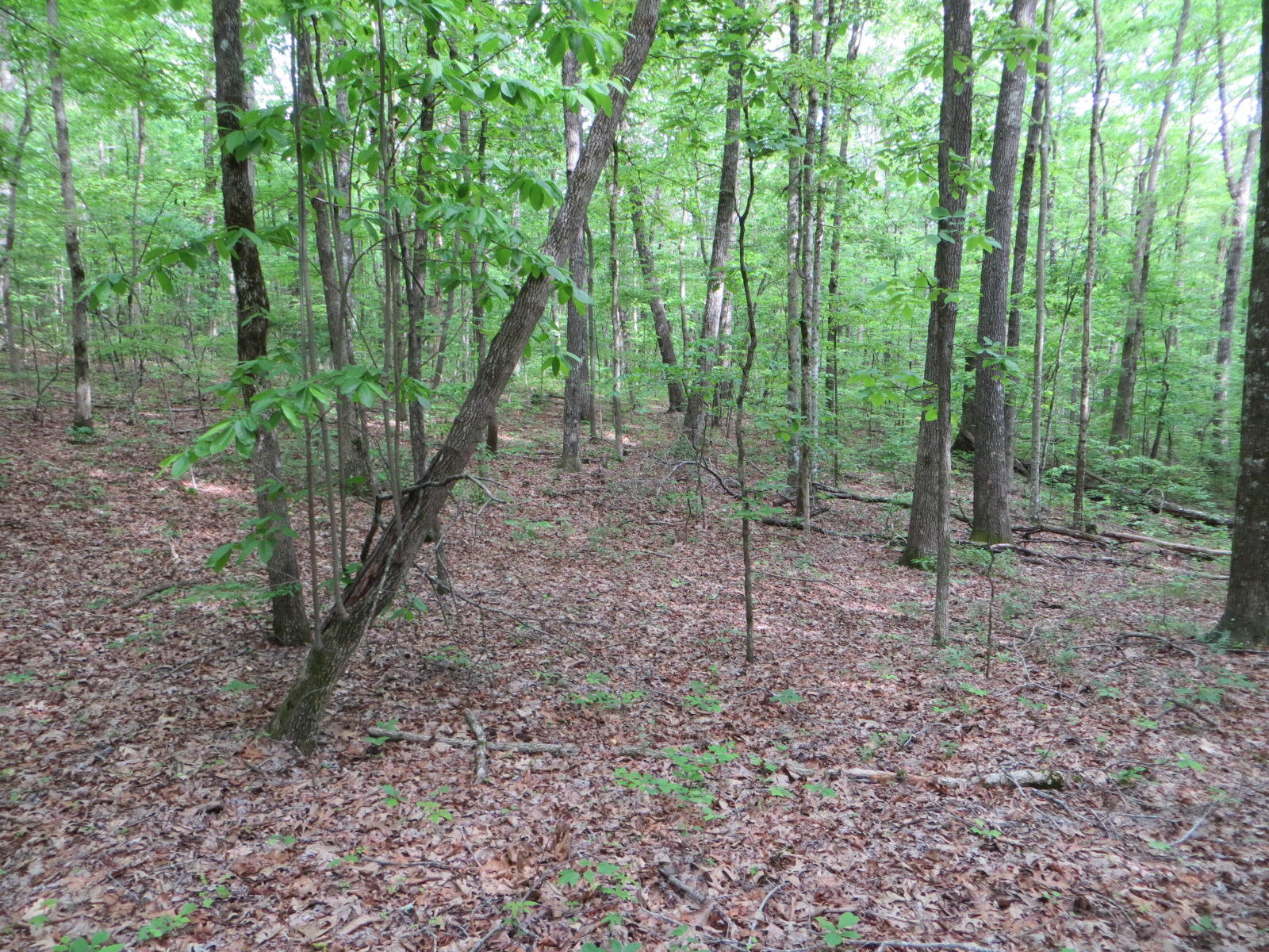 4 Valley View Road, Unit 338 Crossville, TN 38572 - Photo 8 of 11 IMG_0025