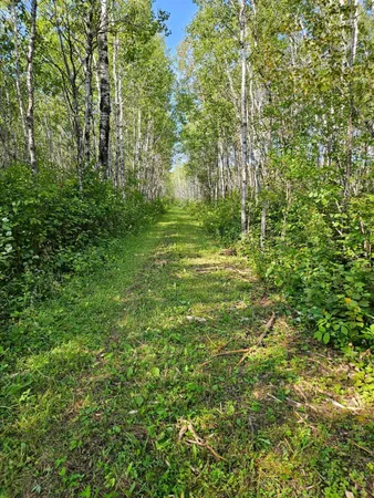 $215,000 | 2351 35th Street Southwest, Baudette, MN 56623