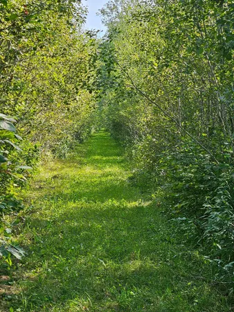 $215,000 | 2351 35th Street Southwest, Baudette, MN 56623