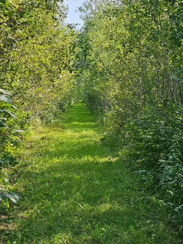 $215,000 | 2351 35th Street Southwest, Baudette, MN 56623