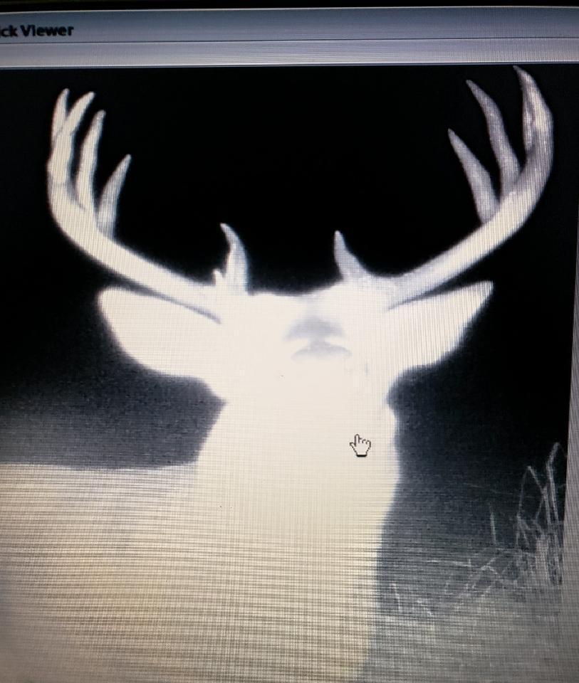 2351 35th Street Southwest Baudette, MN 56623 - Photo 20 of 23