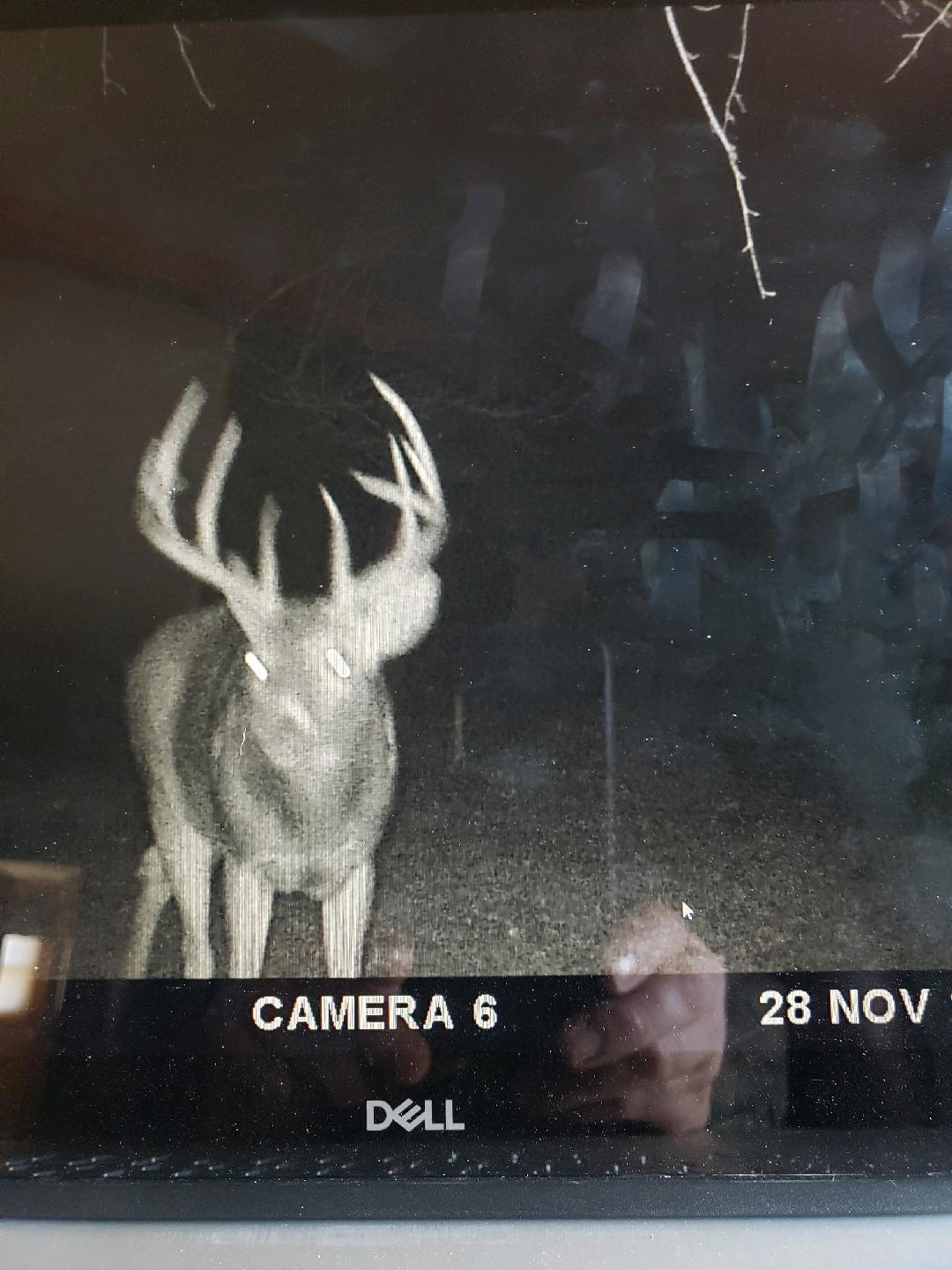 2351 35th Street Southwest Baudette, MN 56623 - Photo 21 of 23