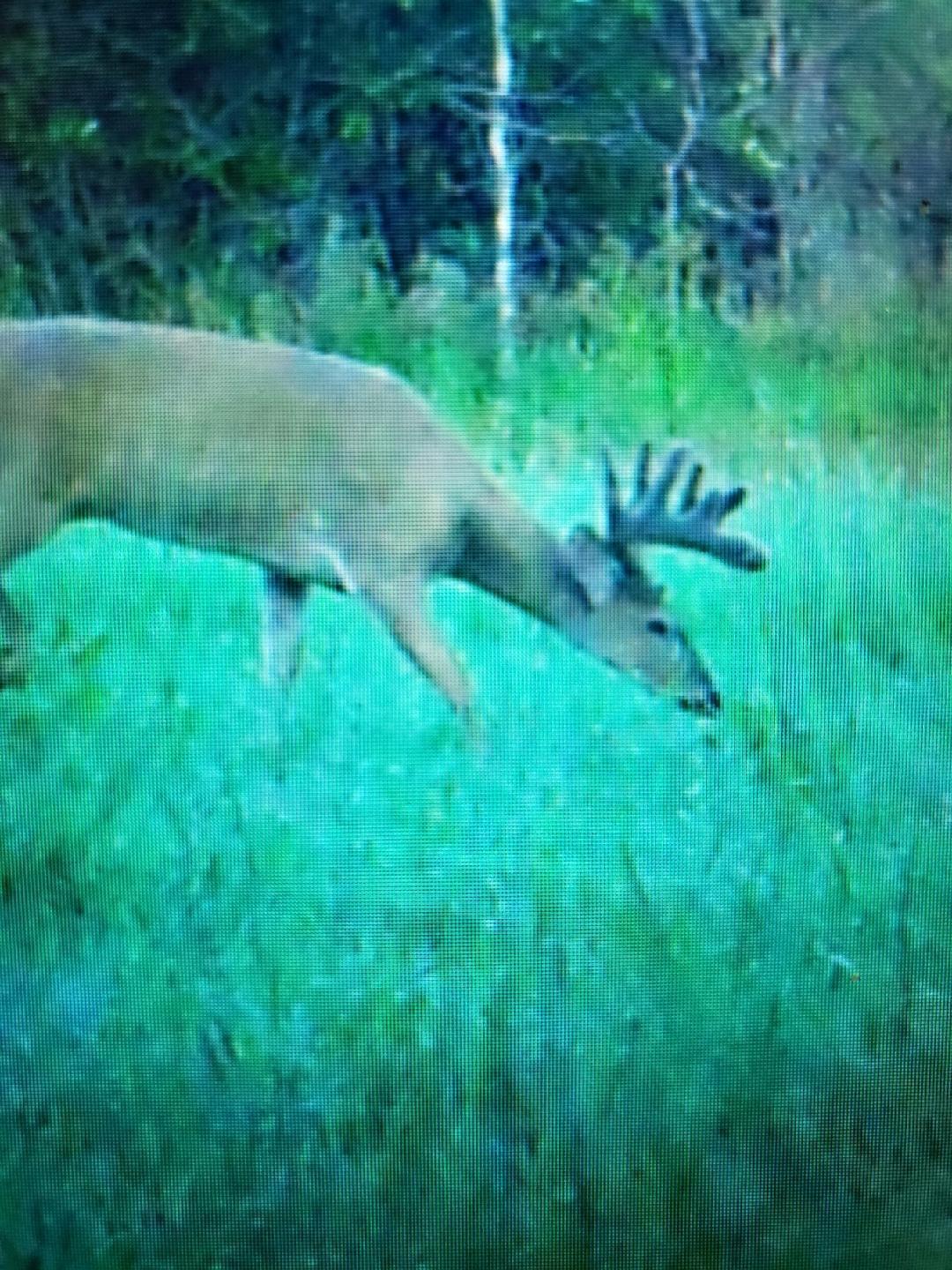2351 35th Street Southwest Baudette, MN 56623 - Photo 22 of 23