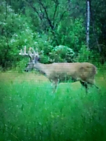 $215,000 | 2351 35th Street Southwest, Baudette, MN 56623