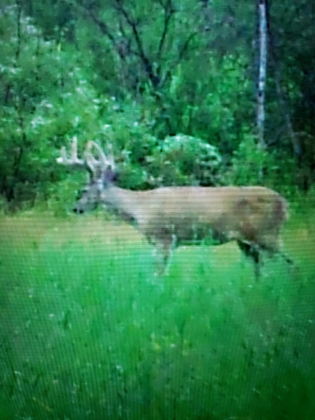 2351 35th Street Southwest Baudette, MN 56623 - Photo 23 of 23