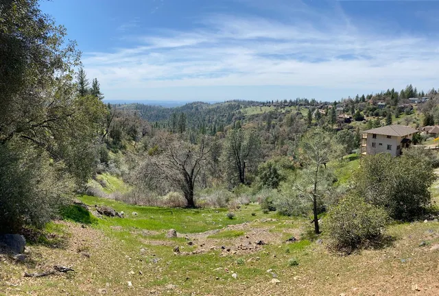 a view of a yard with a tree