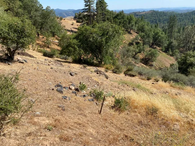 a view of a yard covered in snow