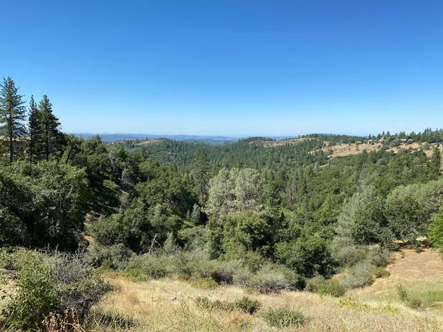a view of a green field with lots of bushes