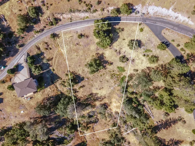 a view of a tree with a yard