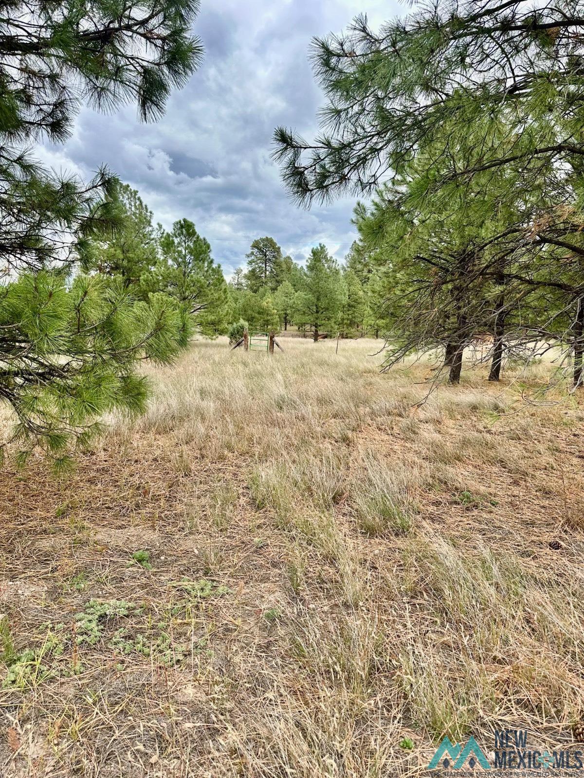 Xx Hooser Road Luna, NM 87824 - Photo 4 of 12