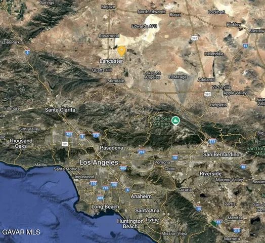 a view of a wooden floor with a tree