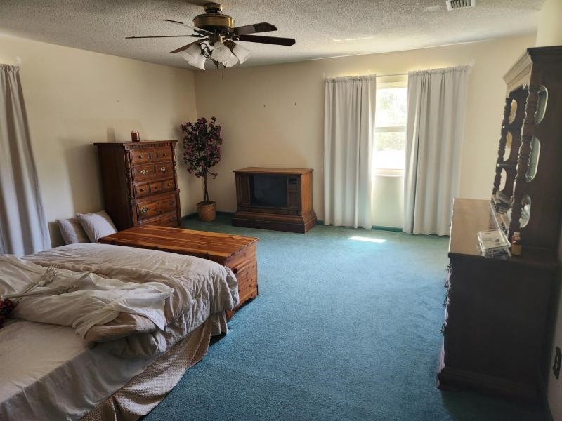 9535 Alton Wentworth Road Greenville, FL 32331 - Photo 12 of 19