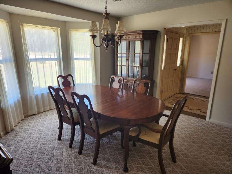 9535 Alton Wentworth Road Greenville, FL 32331 - Photo 5 of 19