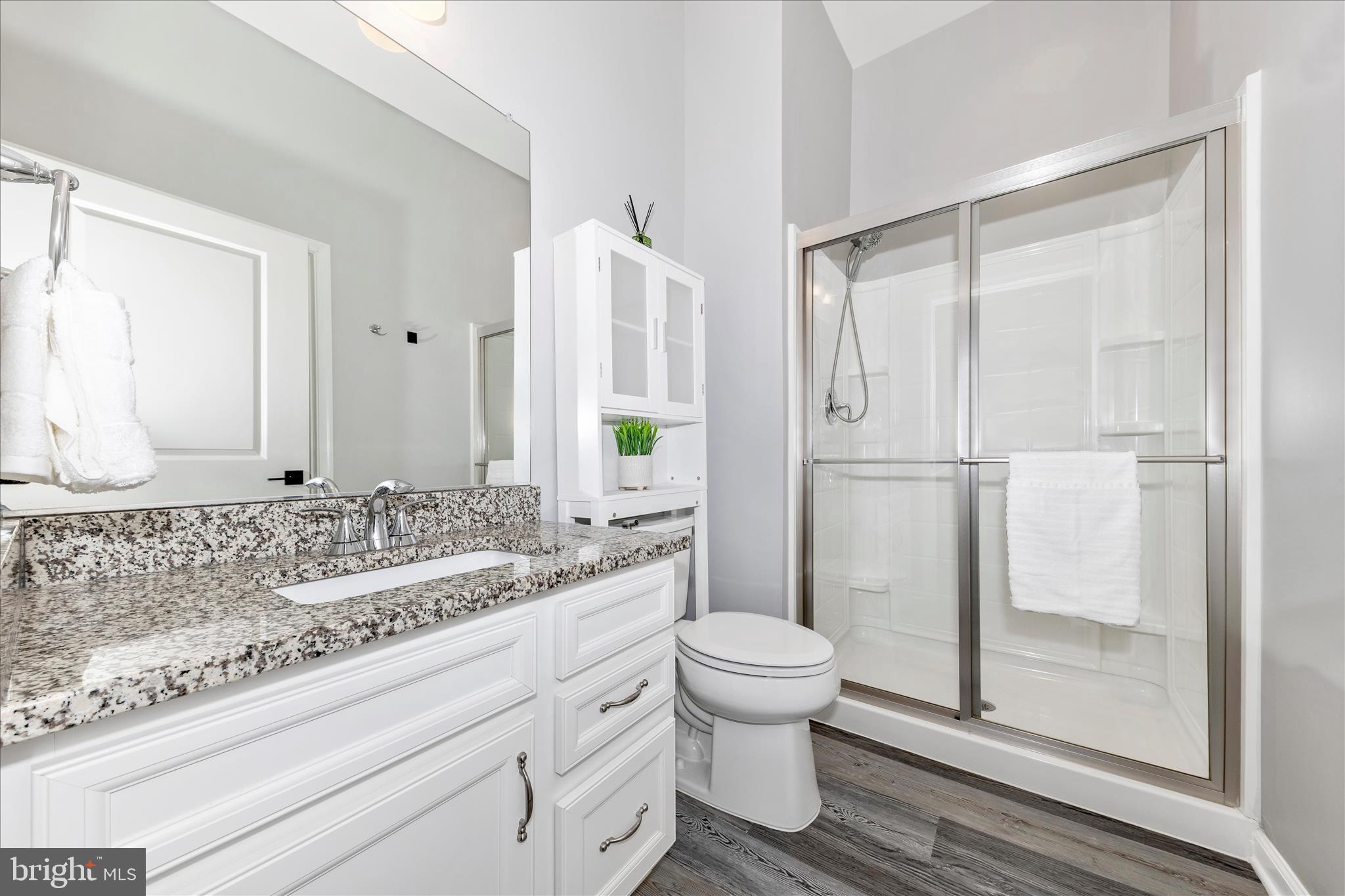 5704 Scott Ridge Place Frederick, MD 21704 - Photo 23 of 103 043A5489