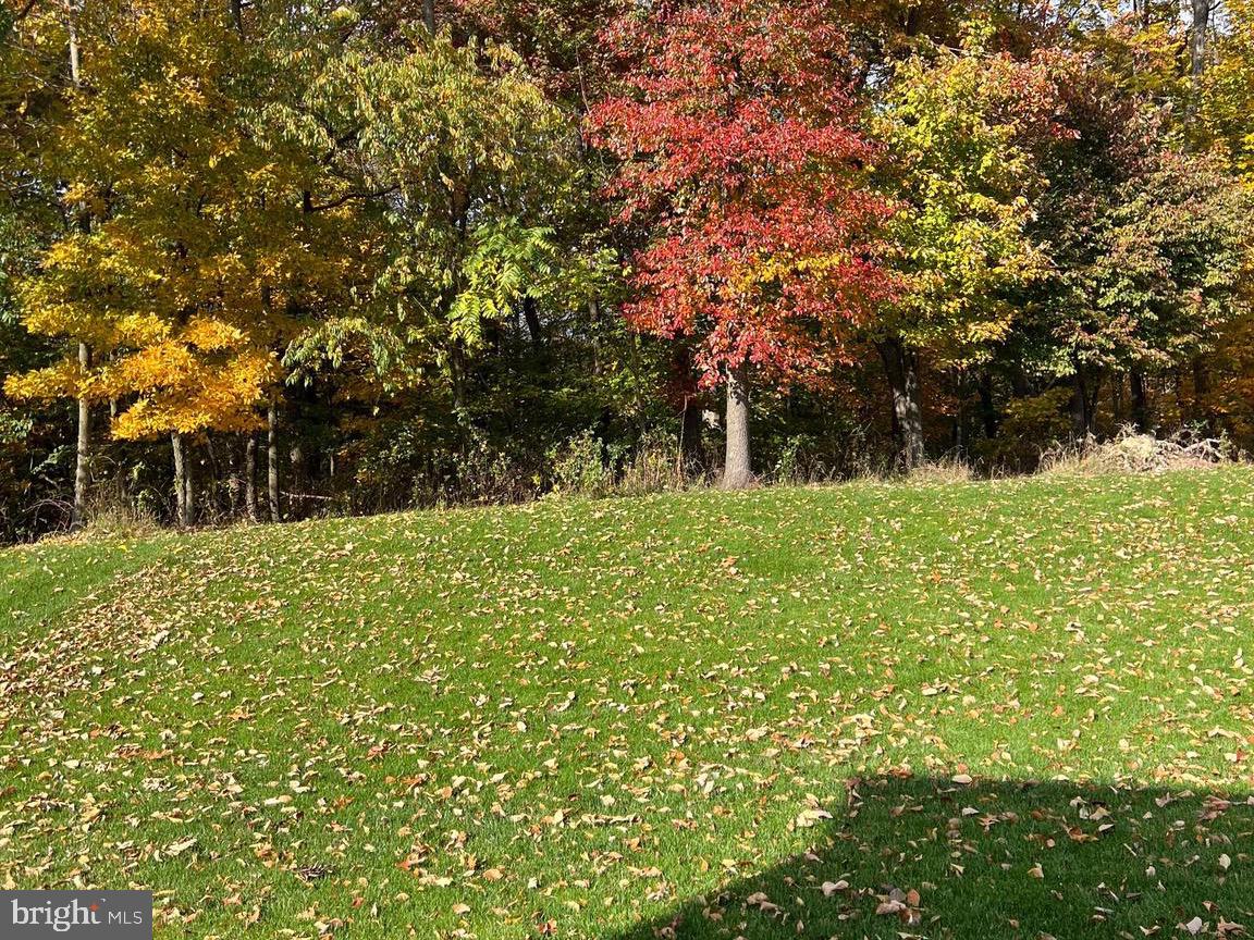 5704 Scott Ridge Place Frederick, MD 21704 - Photo 9 of 103 Backs to trees
