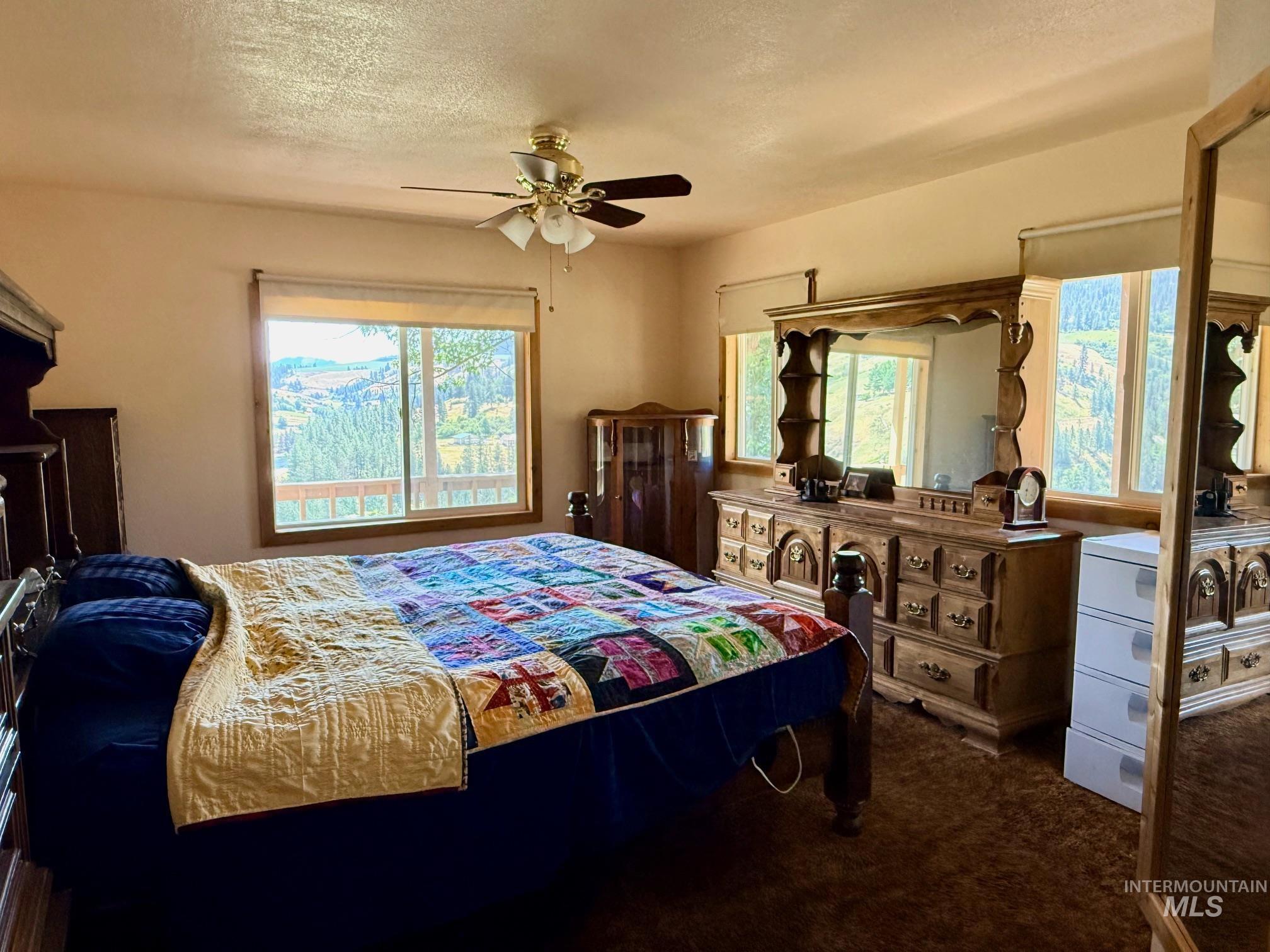 35322 River Road Lenore, ID 83541 - Photo 15 of 42 Dual windows offering extensive landscape scenery, a ceiling fan with integrated lighting, and wall-to-wall carpeting
