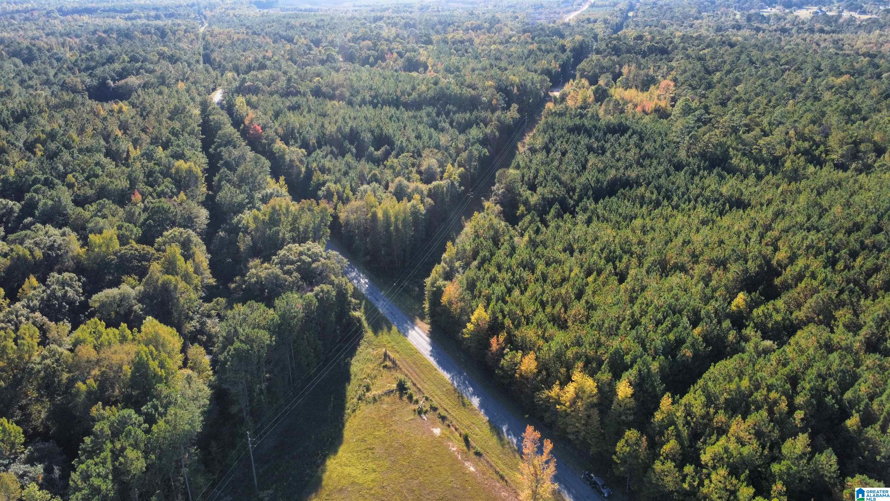 2 Highway 37, Unit 2 Notasulga, AL 36866 - Photo 6 of 7