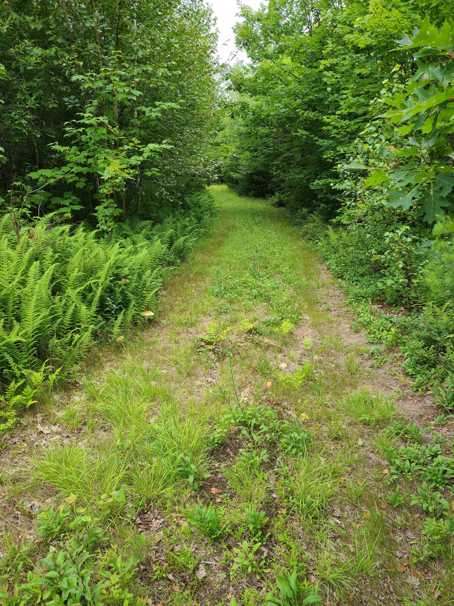 0 Farrand Hill Road Canton, ME 04221 - Photo 18 of 43 FarrandHIllRd15