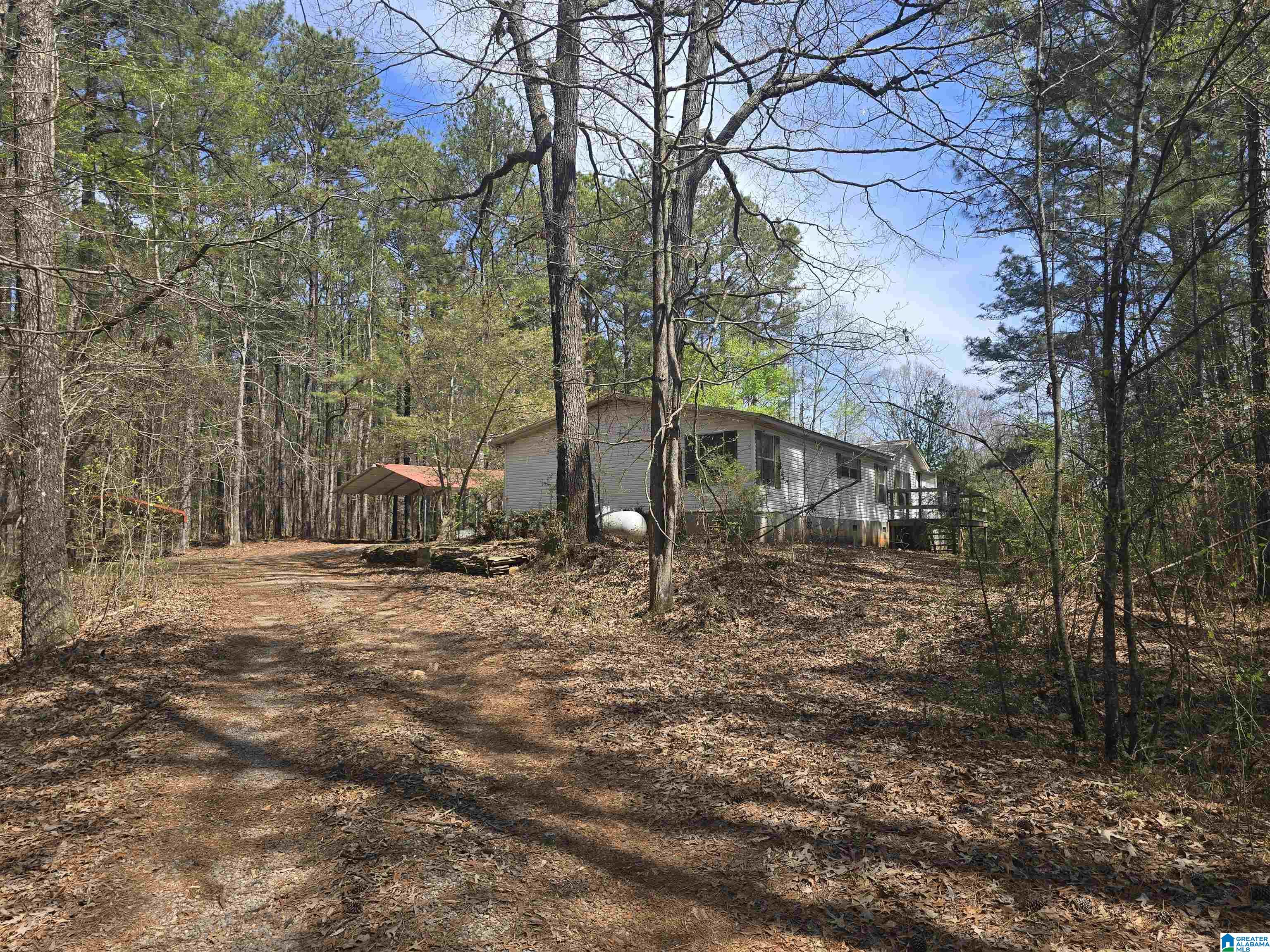 1128 Old Ashland Road Goodwater, AL 35072 - Photo 24 of 24