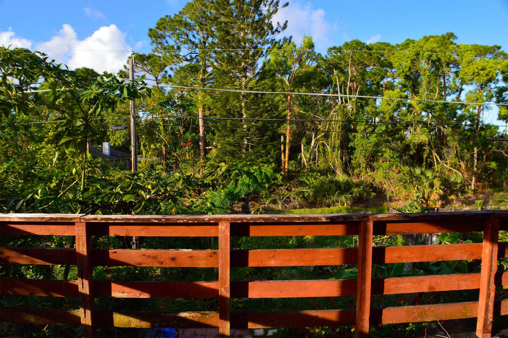 5273 Adams Road Delray Beach, FL 33484 - Photo 17 of 28 _DSC0159ed