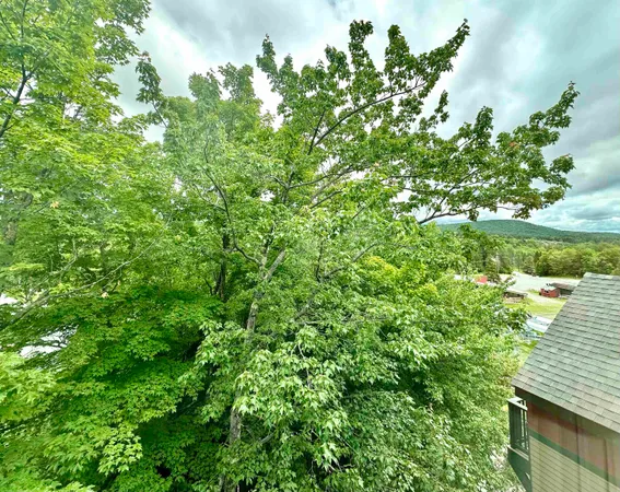 $27,999 | 304-306 Qtr 3 Grand Summit Way, West Dover, VT 05356