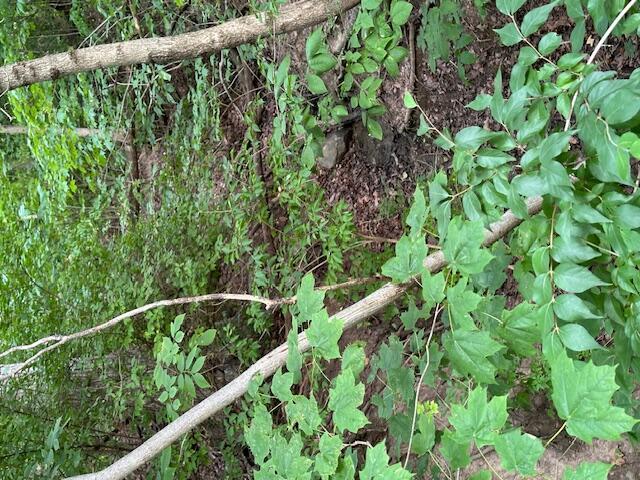 0 Bell Station Road Circleville, OH 43113 - Photo 2 of 3 0 Bell Station Rd