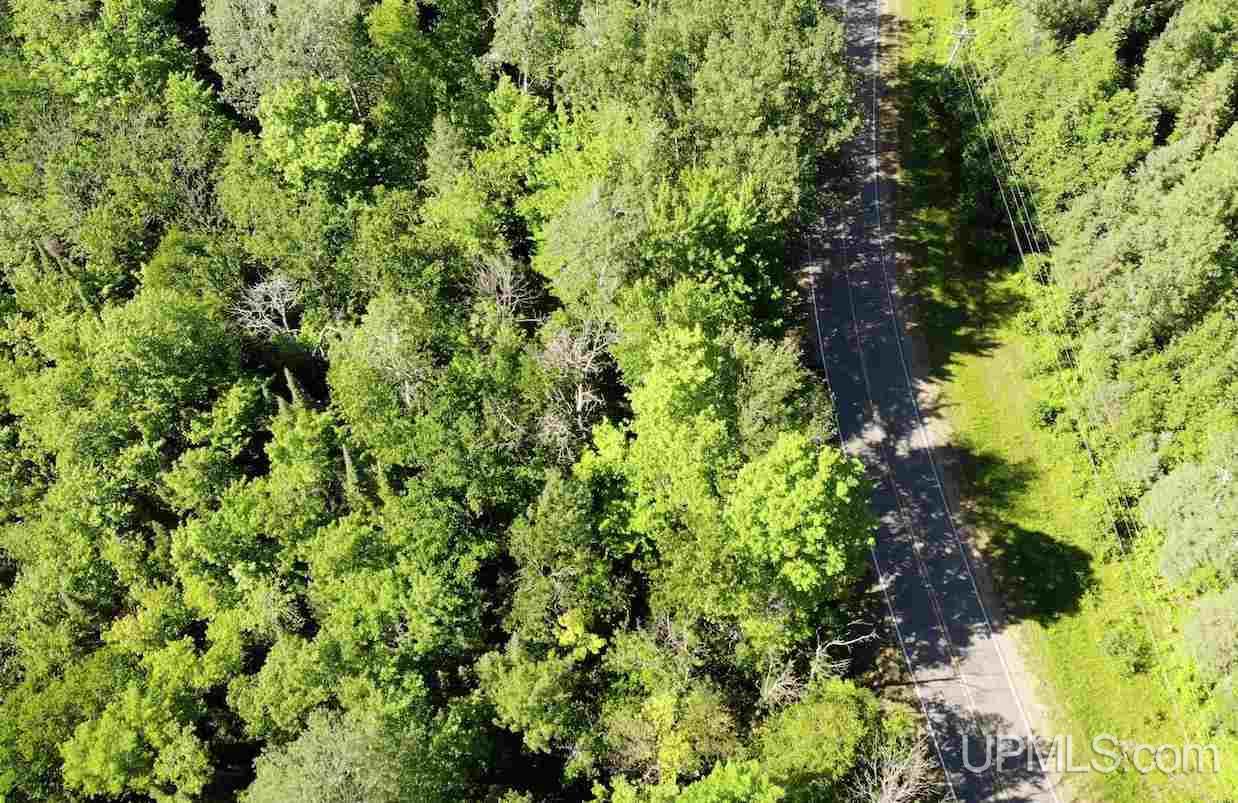 Tbd1 Dog Patch Road, Unit LOT H Lanse, MI 49946 - Photo 7 of 24 Gallery Image 7