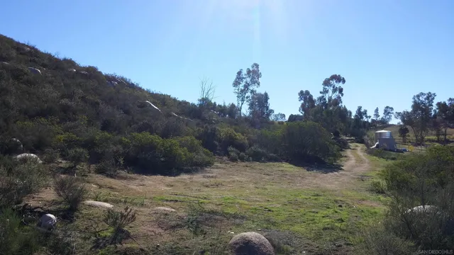 a view of a dry yard