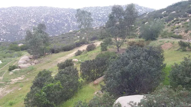 a view of a lot of a yard