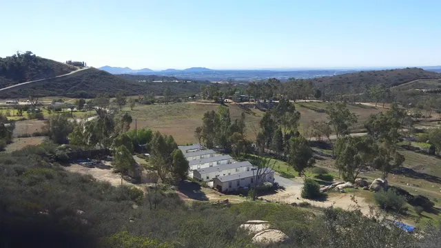 a view of a lake in middle of forest