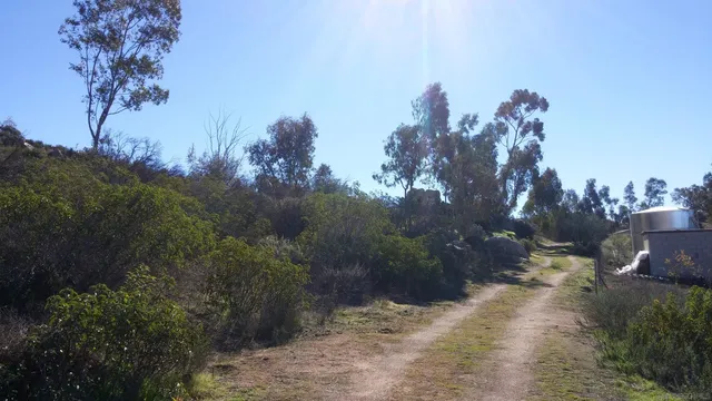 a view of a yard with a tree in the background