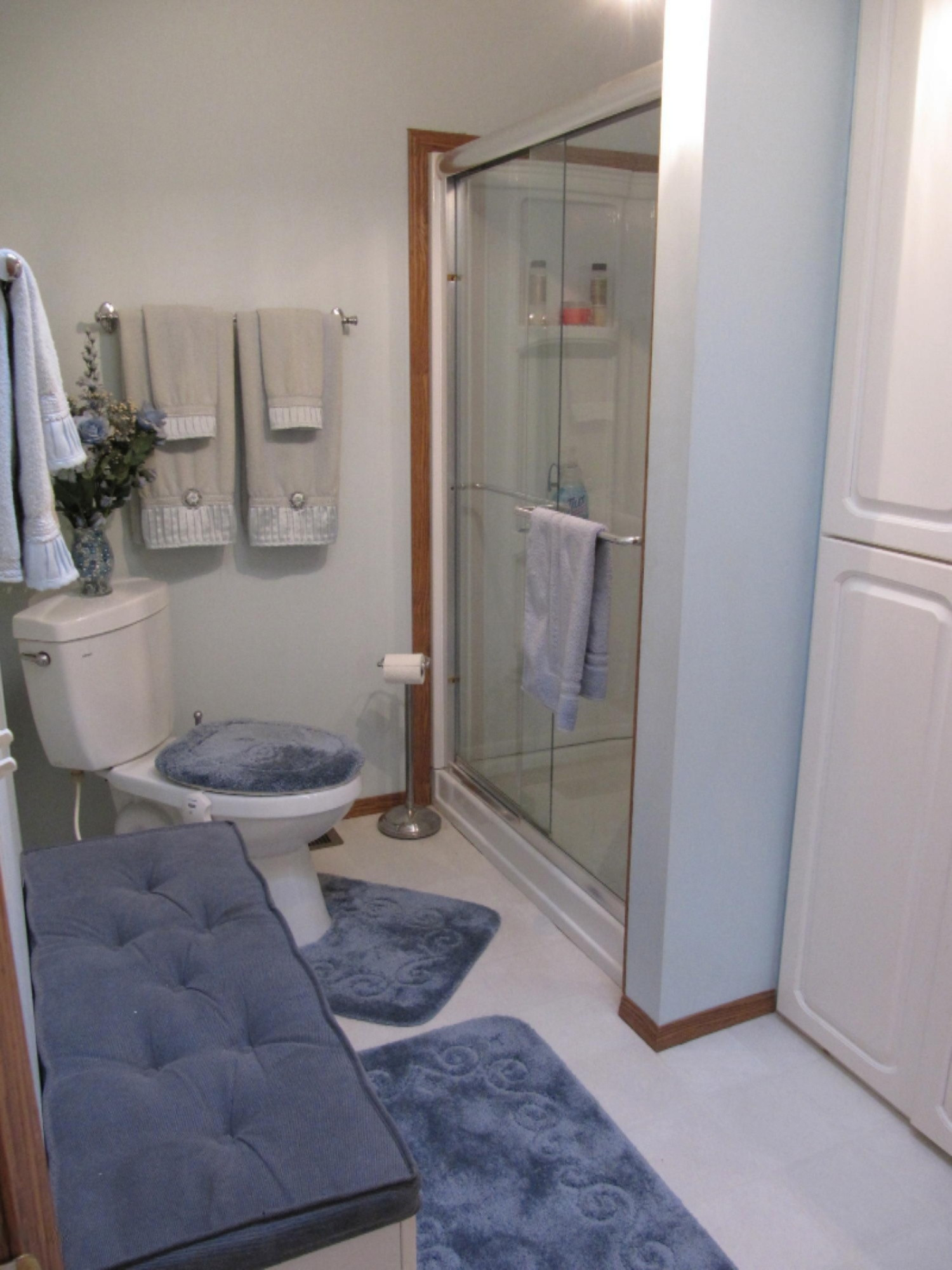 2417 Johnson Road Gowen, MI 49326 - Photo 11 of 16 m bath1