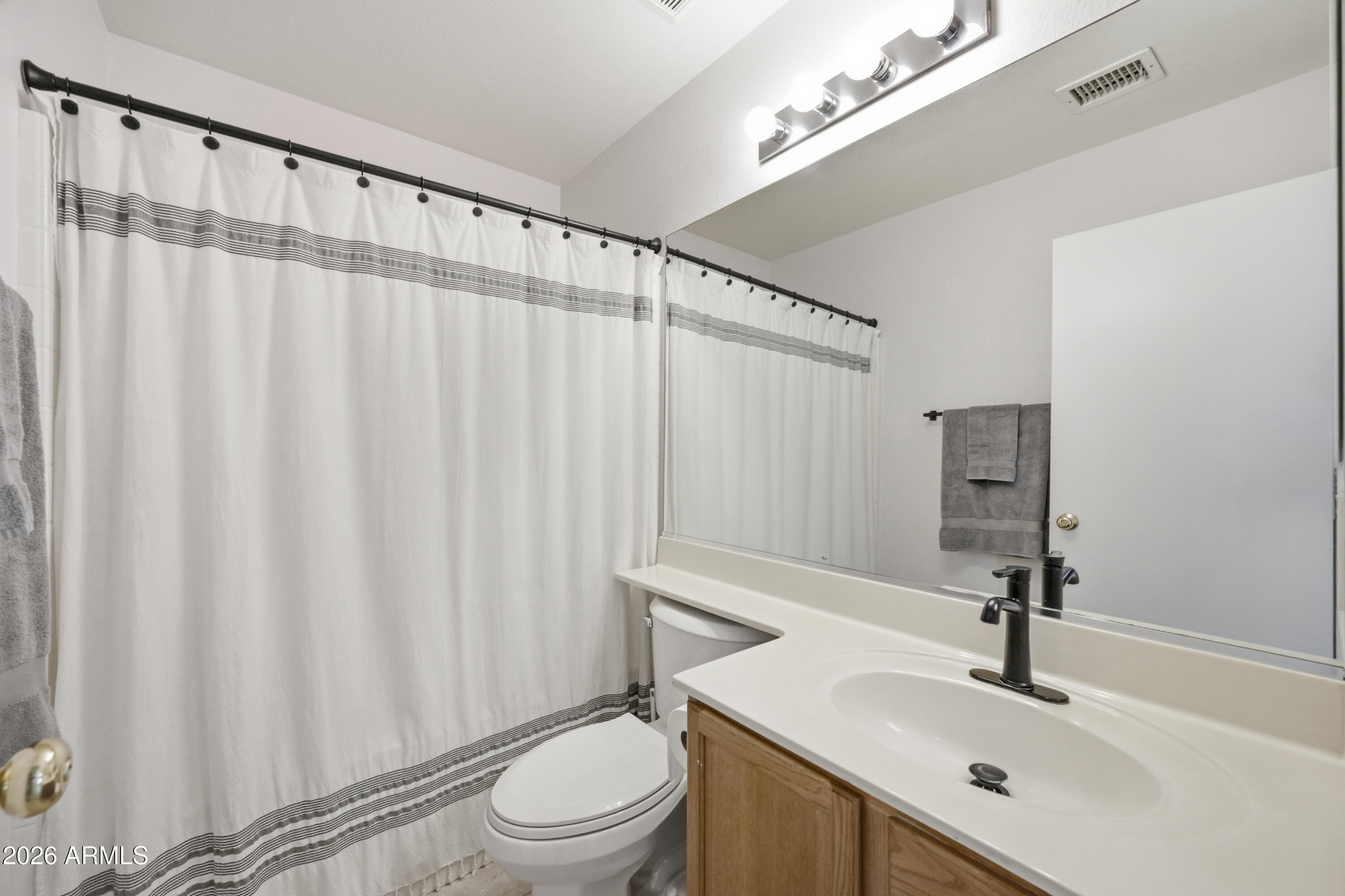 1994 South Spartan Street Gilbert, AZ 85233 - Photo 23 of 30 a bathroom with a sink a toilet a mirror and shower curtain