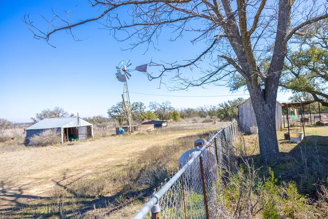 a view of a backyard that has a large tree and wooden fence