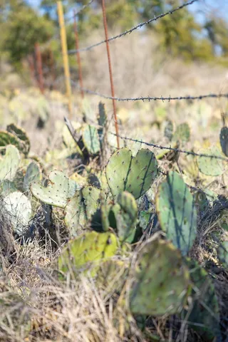 a view of a backyard with sitting area