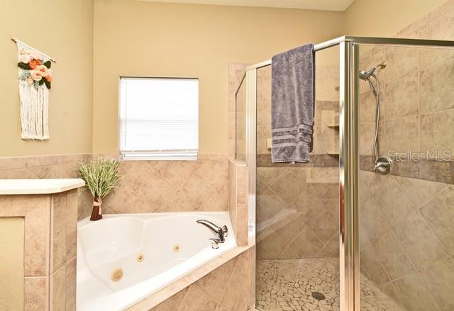 11994 McKinnon Road Windermere, FL 34786 - Photo 28 of 56