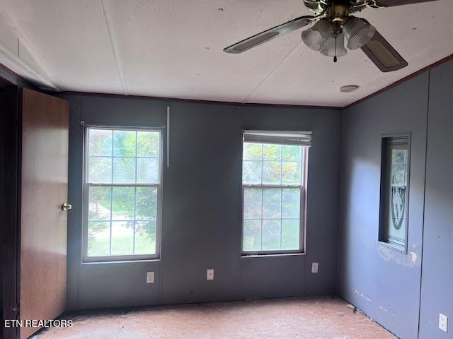 130 Gentry Lane Luttrell, TN 37779 - Photo 10 of 21 unnamed (21)