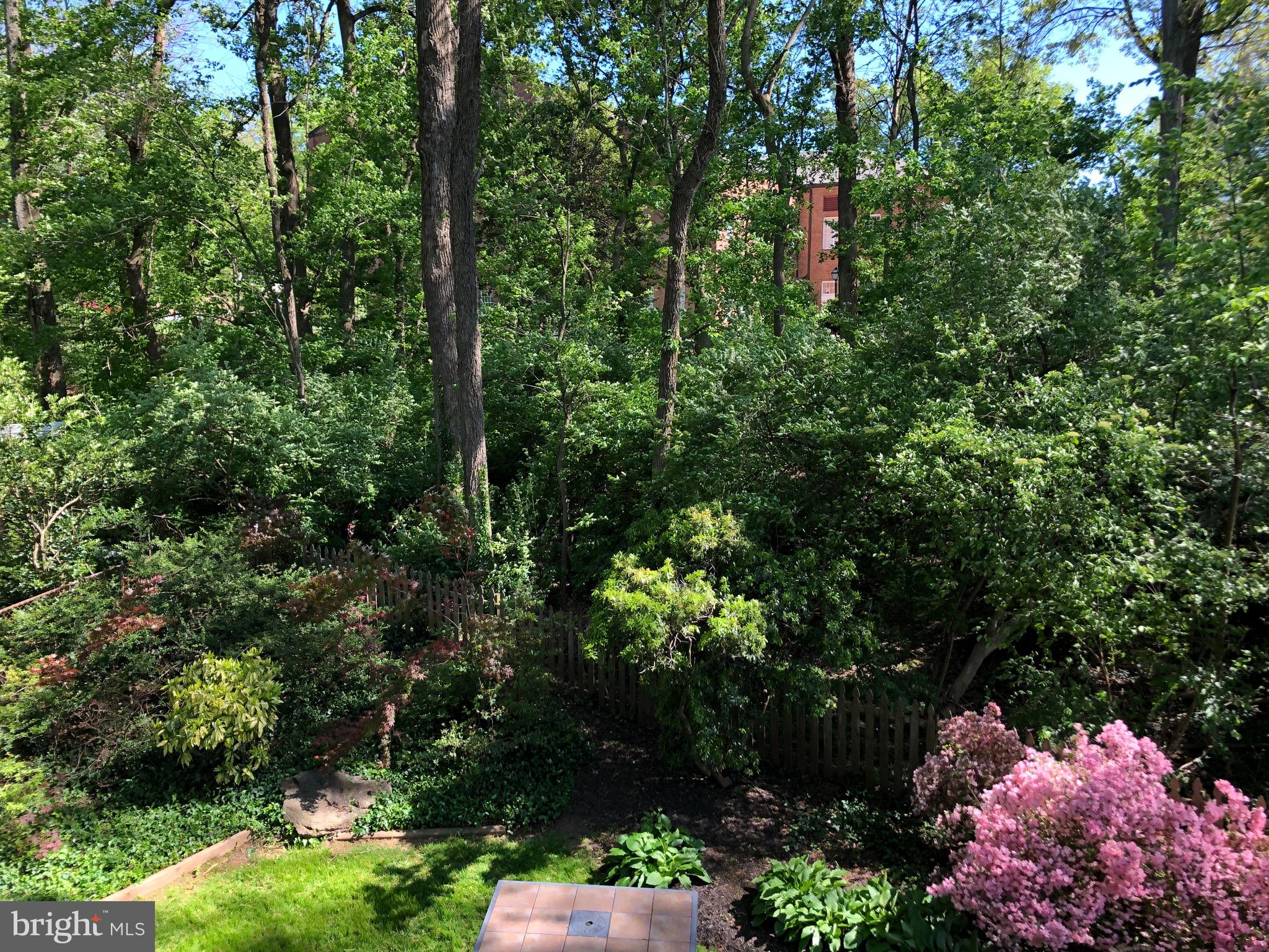 6308 Alcott Road Bethesda, MD 20817 - Photo 2 of 34 View from back of home