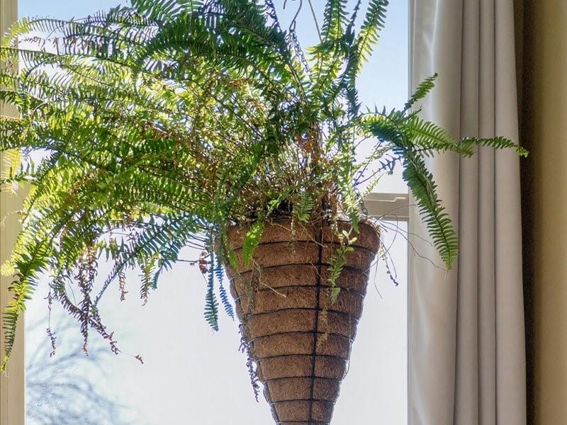 20493 West 221st Street Spring Hill, KS 66083 - Photo 54 of 68