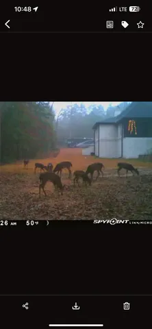 $3,250,000 | 7083 Grenville Road, Tallahassee, FL 32309