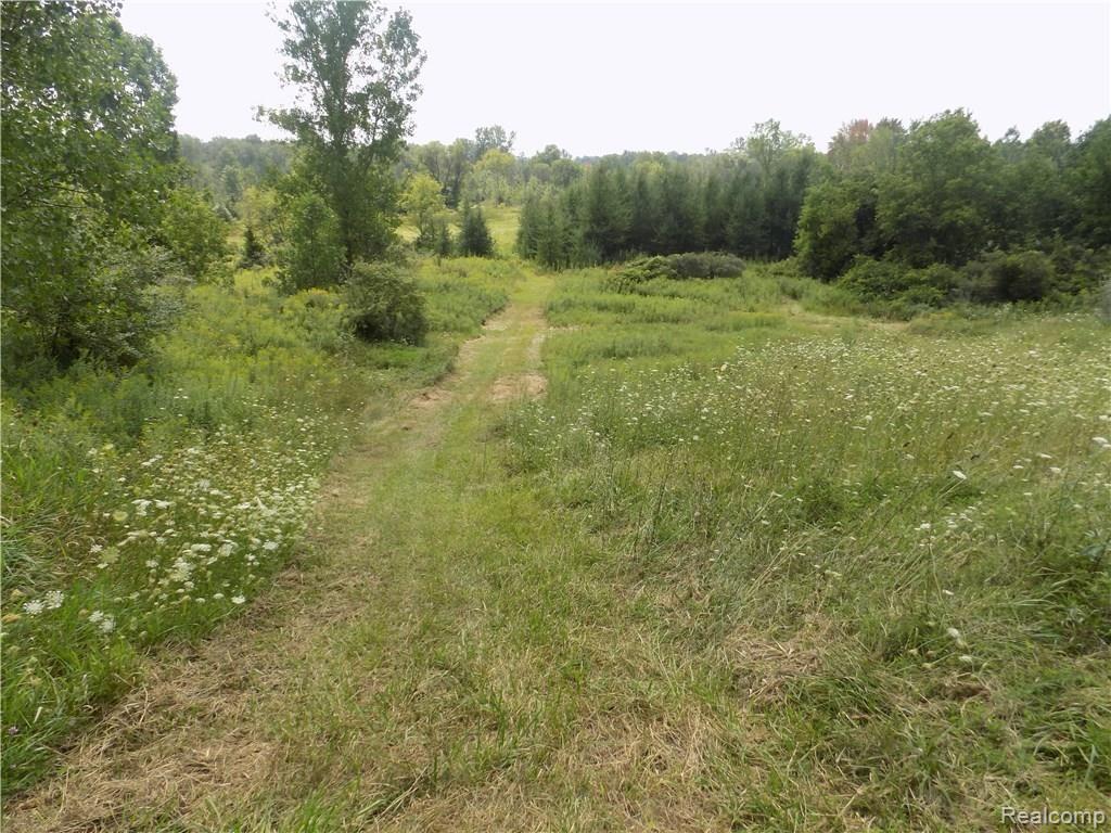 345 Stinson Road Memphis, MI 48041 - Photo 45 of 98