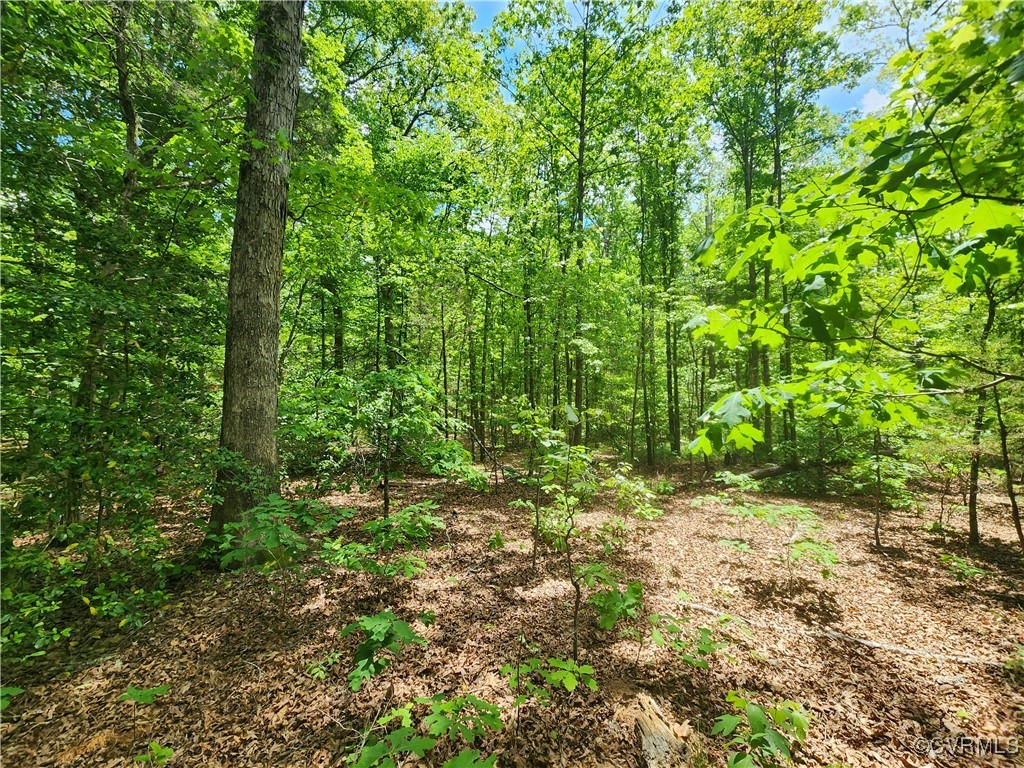 0 Robinson Road Goochland, VA 23063 - Photo 12 of 27 Gallery Image 12