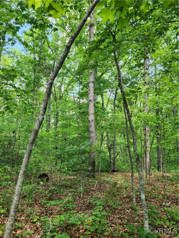 0 Robinson Road Goochland, VA 23063 - Photo 13 of 27 Gallery Image 13