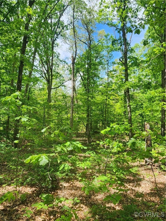 0 Robinson Road Goochland, VA 23063 - Photo 15 of 27 Gallery Image 15