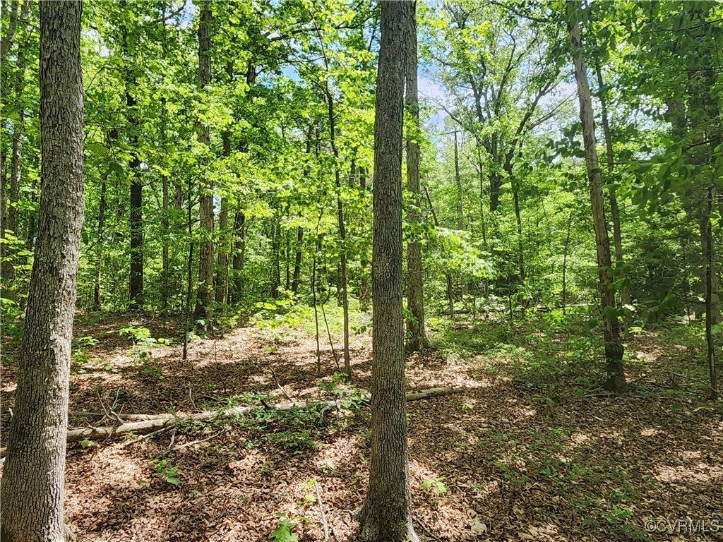 0 Robinson Road Goochland, VA 23063 - Photo 16 of 27 Gallery Image 16